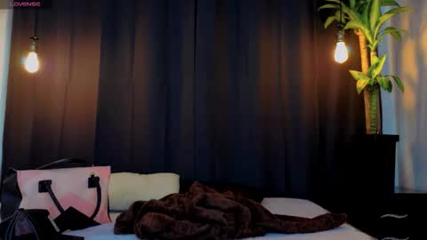 Snapshot of the_prince_sam chatting on 11.06.25 the_prince_sam online show from 11.06.25