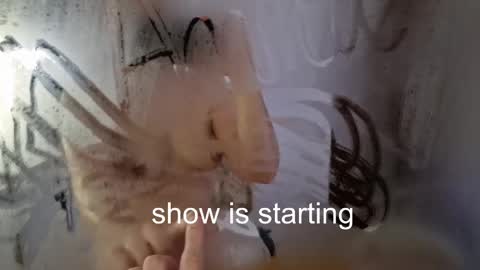 Anna online show from 05.23.26