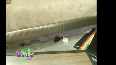TheBeeJayShow online show from 05.23.26