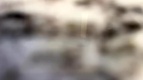 Snapshot of thebodythefeet chatting on 01.04.25 thebodythefeet online show from 01.04.25