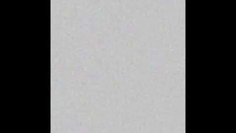 Wolf Independent model online show from 11.30.25