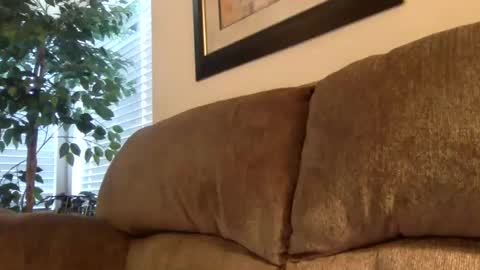 Harry online show from 01.26.25