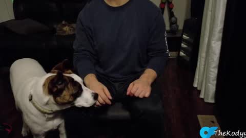 thekodyy online show from 10.21.25