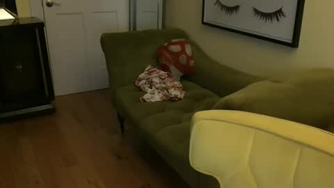 Cach Nelson online show from 11.11.25