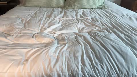 Maya Hill online show from 04.13.26