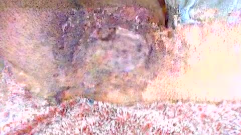 thetightestass14 online show from 02.20.25