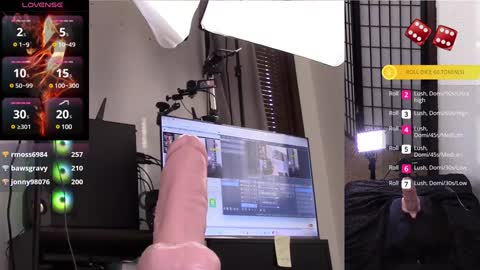 The Willow Fox online show from 01.28.25