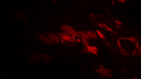 Snapshot of thickambr chatting on 09.24.25 Thickamber online show from 09.24.25