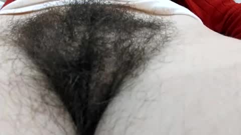 Snapshot of thickforest chatting on 12.17.24 MilkyChoco online show from 12.17.24