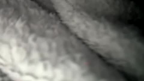 thickuncut7148704 online show from 02.07.25