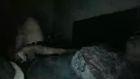 thisguyjake88 online show from 03.08.26