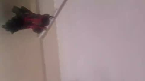 Thonas online show from 11.05.25