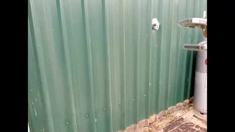 throbmasterr online show from 09.12.25