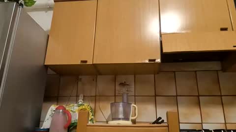 Little Wolf  online show from 11.10.25