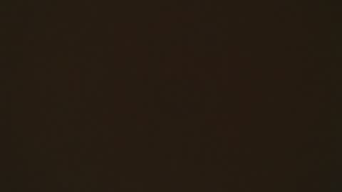 LIA online show from 04.02.26