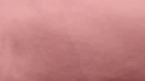 tibustream online show from 04.16.26