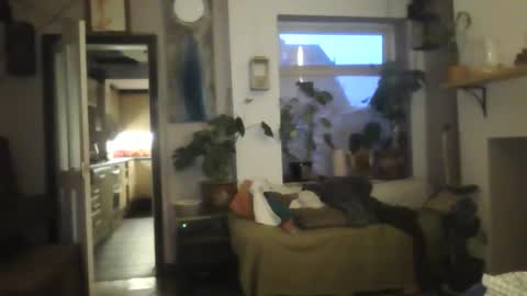 Snapshot of tiddles12345 chatting on 10.18.25 tiddles12345 online show from 10.18.25