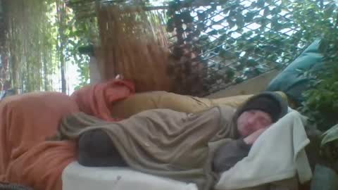 tiddles12345 online show from 07.05.26