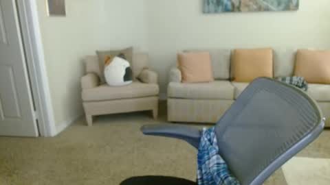 timealone120000 online show from 01.11.26