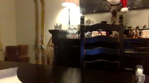 tinyandtatted420 online show from 12.18.25