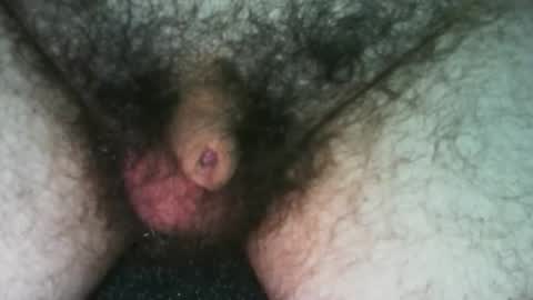 tinycocker online show from 10.19.25