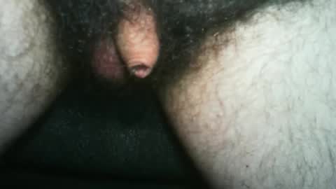 tinycocker online show from 10.25.25