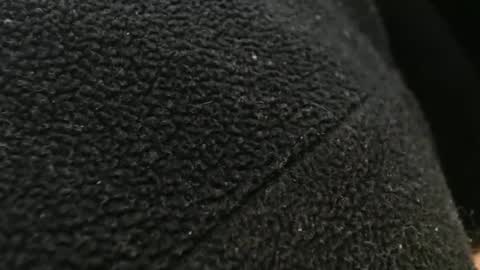 Snapshot of tinyslut66 chatting on 11.17.25 tinyslut66 online show from 11.17.25