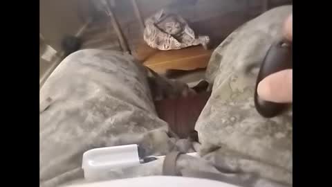 tjllagwbggrr online show from 02.03.26