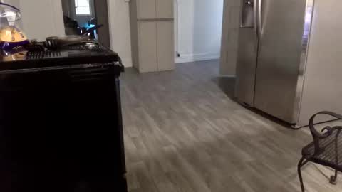 tnich28 online show from 01.14.26