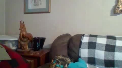 Vols online show from 10.29.25