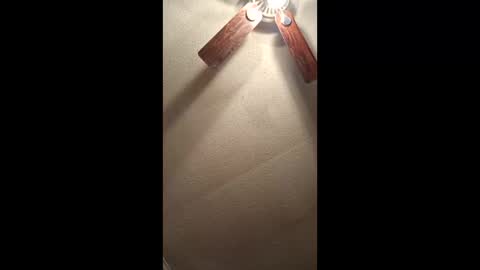 Vols online show from 02.03.26