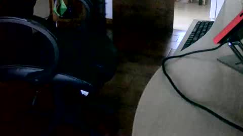 Tobiko online show from 11.15.25