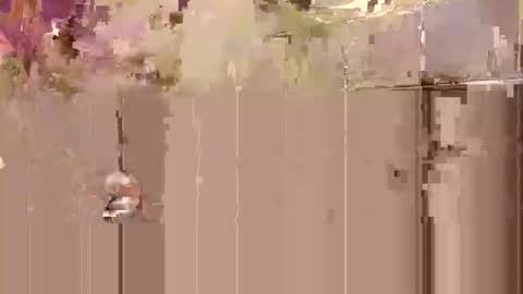 Snapshot of tobyobeys chatting on 10.27.25 Toby Obeys online show from 10.27.25