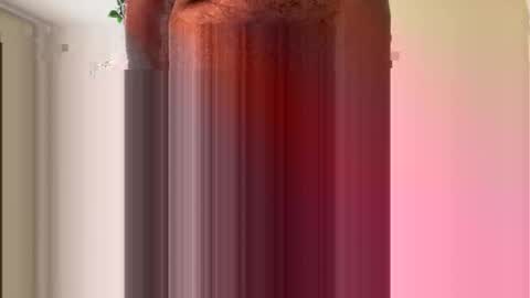 Snapshot of toddmacg chatting on 11.23.25 toddmacg online show from 11.23.25