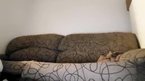 ToffBuck online show from 02.09.26