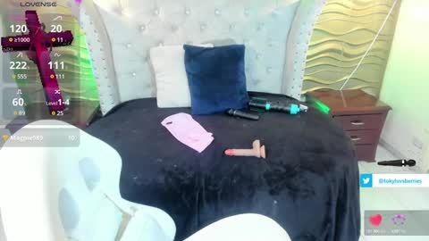 toky         online show from 02.04.25