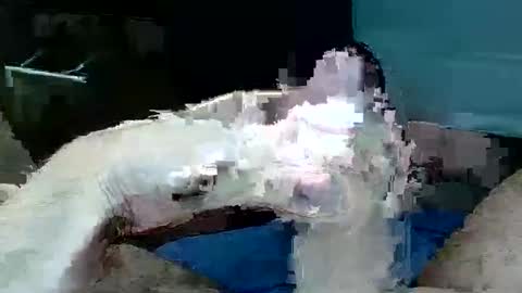 tom4yourself online show from 05.29.26