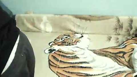 Tomek online show from 12.31.24