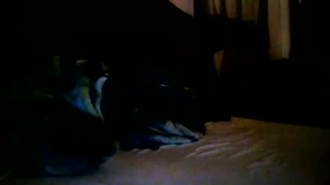 Snapshot of tommy_mackz chatting on 03.02.26 tommy mackz online show from 03.02.26