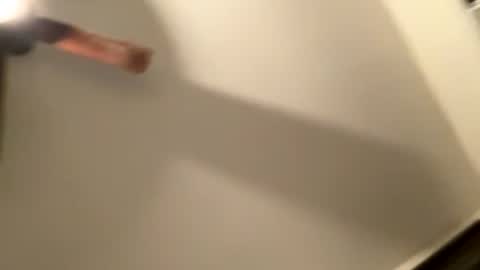 tommygunz62 online show from 02.04.26