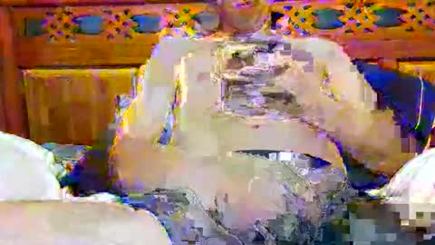 tomygolden online show from 11.28.25