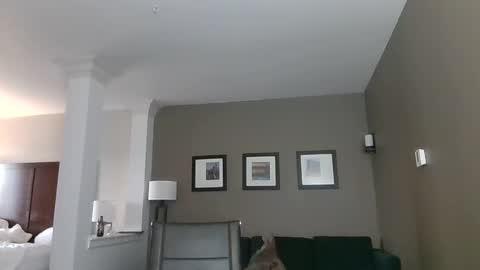 Snapshot of toomuchsmoke chatting on 02.06.25 toomuchsmoke online show from 02.06.25