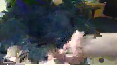 Topcat127 online show from 03.05.25