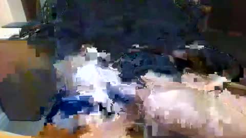 Topcat127 online show from 02.05.26