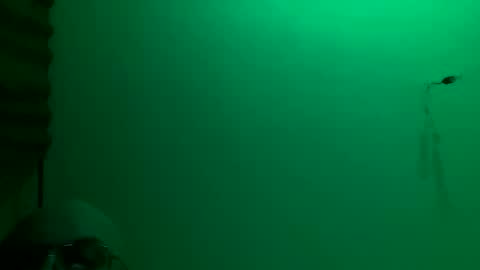 Snapshot of torrero_german chatting on 11.23.25 MisterXxX online show from 11.23.25