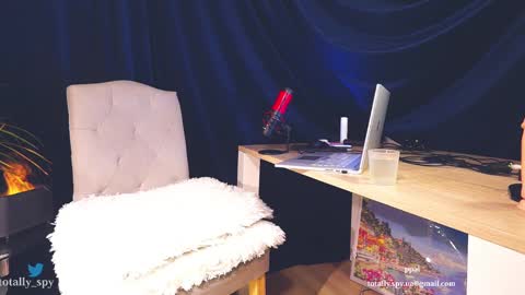 Snapshot of totally_spy chatting on 03.02.25 Madam Viktoria Vacation in Portugal 2811 - 0412 online show from 03.02.25