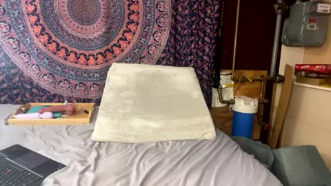 toxiclayne online show from 04.10.26