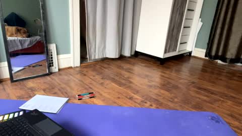 toxiclayne online show from 04.10.26