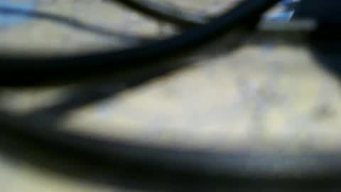 trailblazer1969 online show from 06.09.26