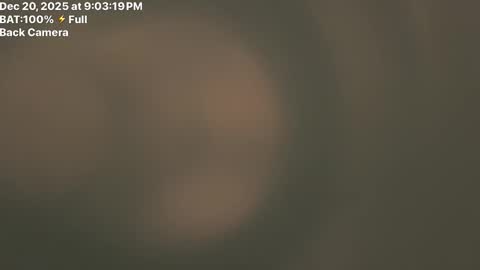 Fembttom online show from 12.21.25